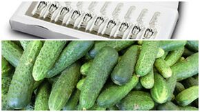 Rezepter fir Masken fir Hand Haut Verjüngung